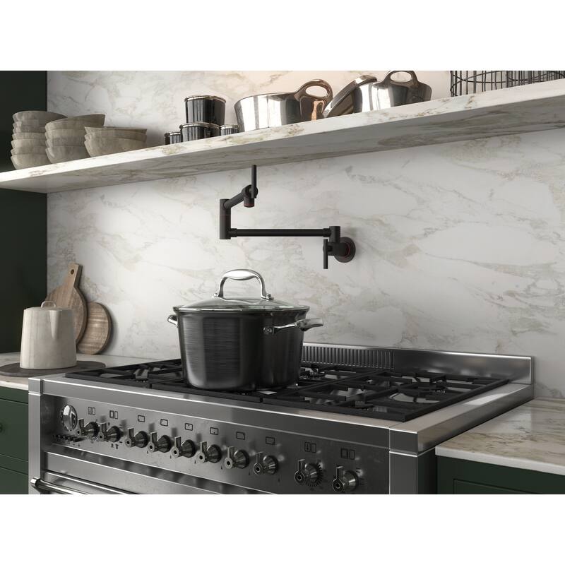 ANZZI Braccia Series 24" Wall Mounted Pot Filler