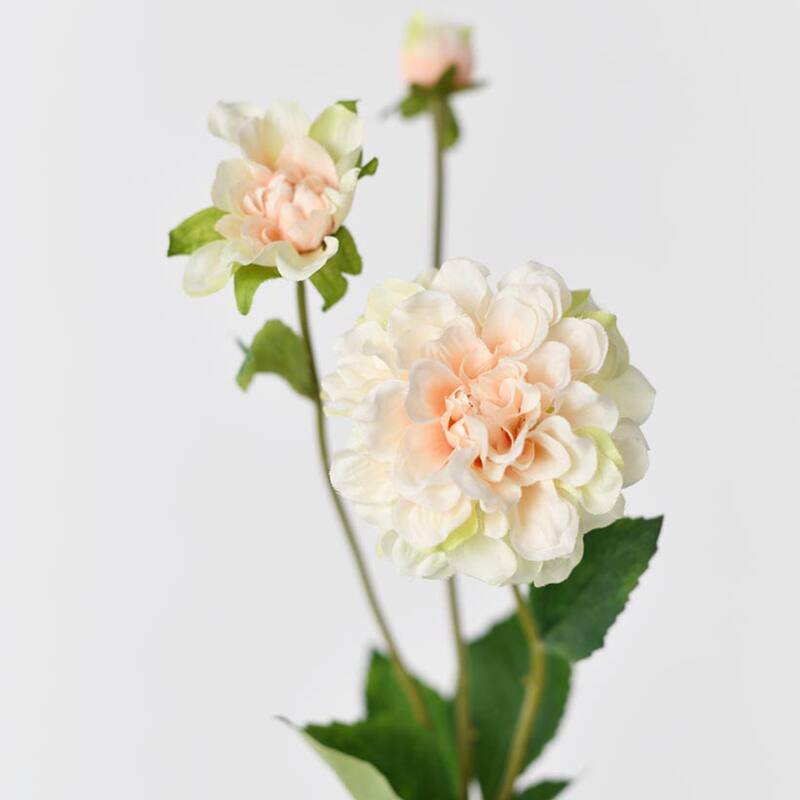 Silk Decorative Artificial Paeonia lactiflora(Pack of 1 Branch)