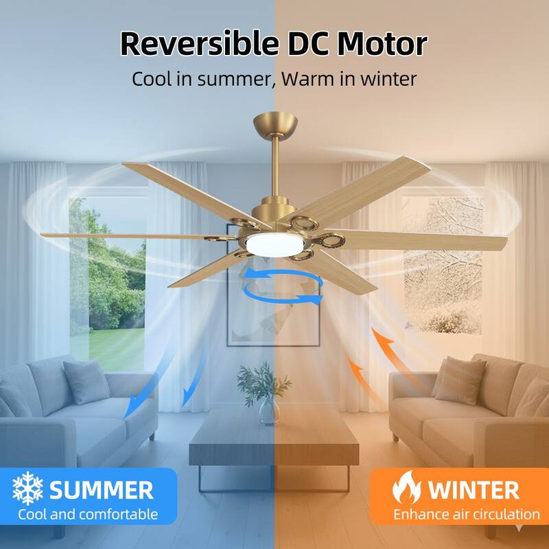 MLiAN 64 in. 6 Playwood Blade Dc Motor Indoor Downrod Gray Standard Ceiling Fan with Remote Integrated LED - 64''