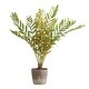 preview thumbnail 1 of 3, Uttermost Zamia Palm Accent In Planter