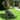13" Electric Lawn Mower,Versatile Corded Lawn Mower with Grass Collection Box