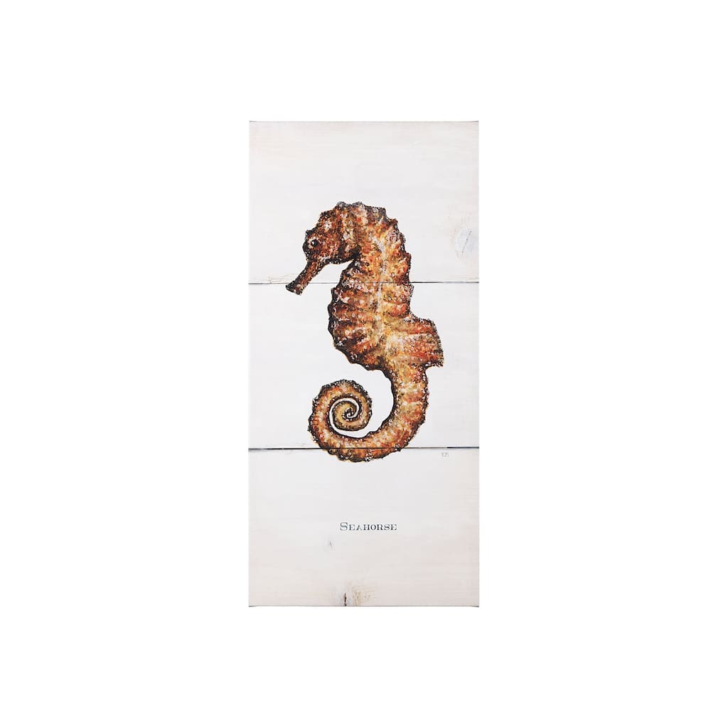Seahorse II (20 x 42) Canvas Art Print