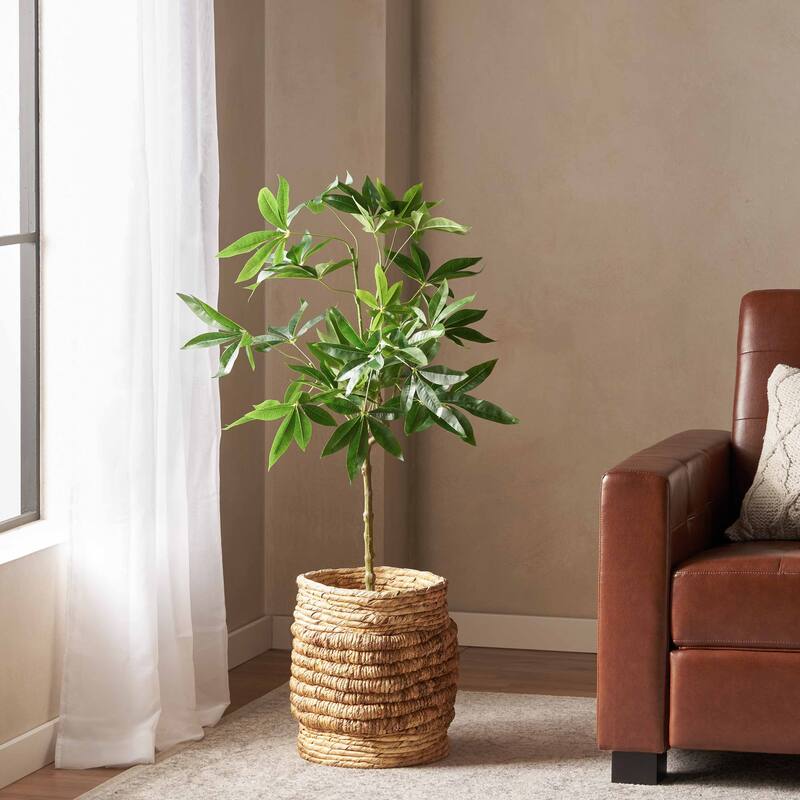 Monadnock Artificial Money Tree by Christopher Knight Home - 4' x 1.5'