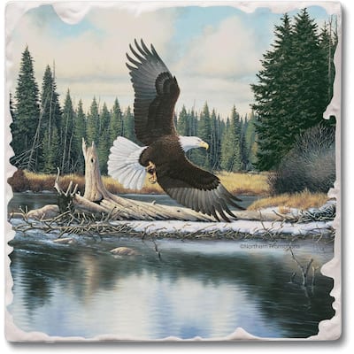 Eagle Spirit 4 Pack Tumbled Tile Stone Coaster with Protective Cork Backing Manufactured in The USA 4" Square