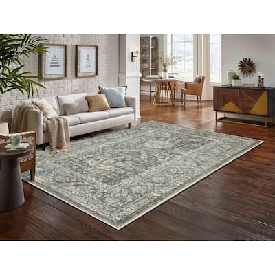 Anila Collection Light Blue, Beige and Silver Transitional Oriental Area Rug