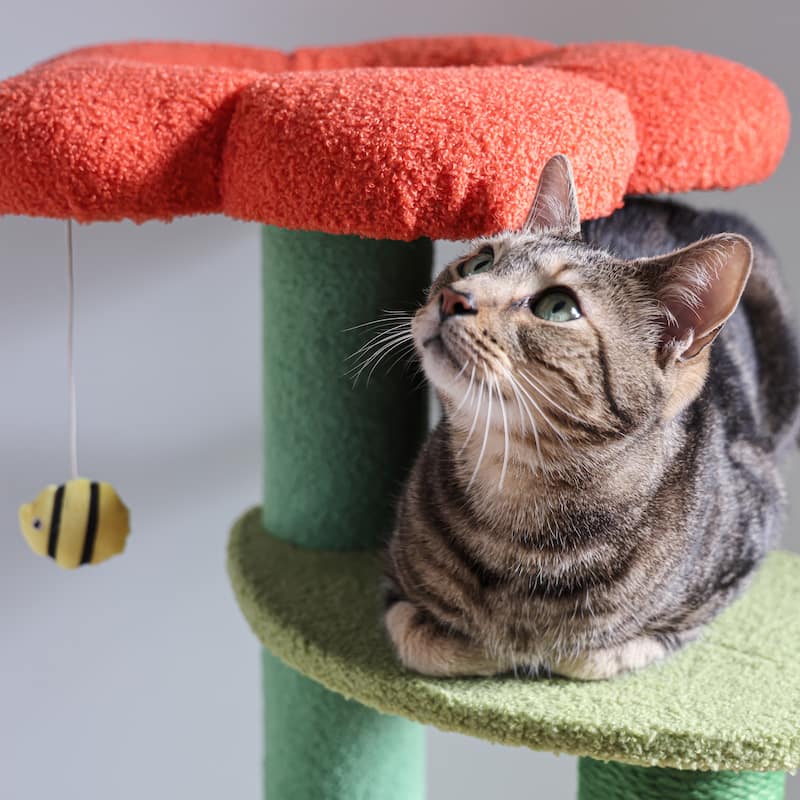 Poppy 29" 3-Tier Modern Jute Flower Cat Tree with Dangling Toy, Orange/Green