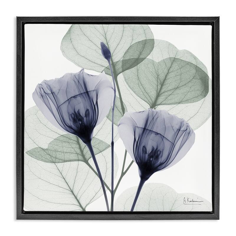 Stupell Contemporary Eucalyptus & Herbs Framed Floater Canvas Wall Art Design By Albert Koetsier - 18 x 18 - Black