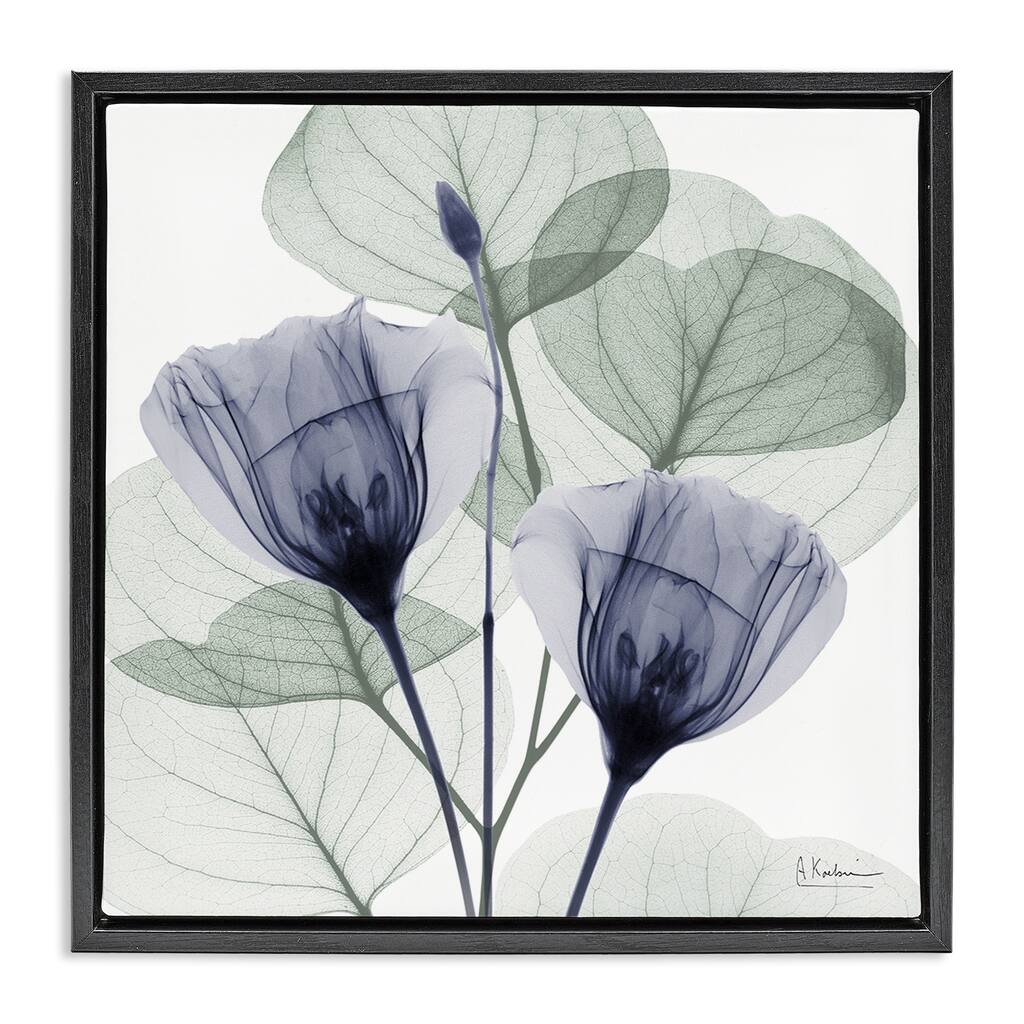 Stupell Contemporary Eucalyptus & Herbs Framed Floater Canvas Wall Art Design By Albert Koetsier