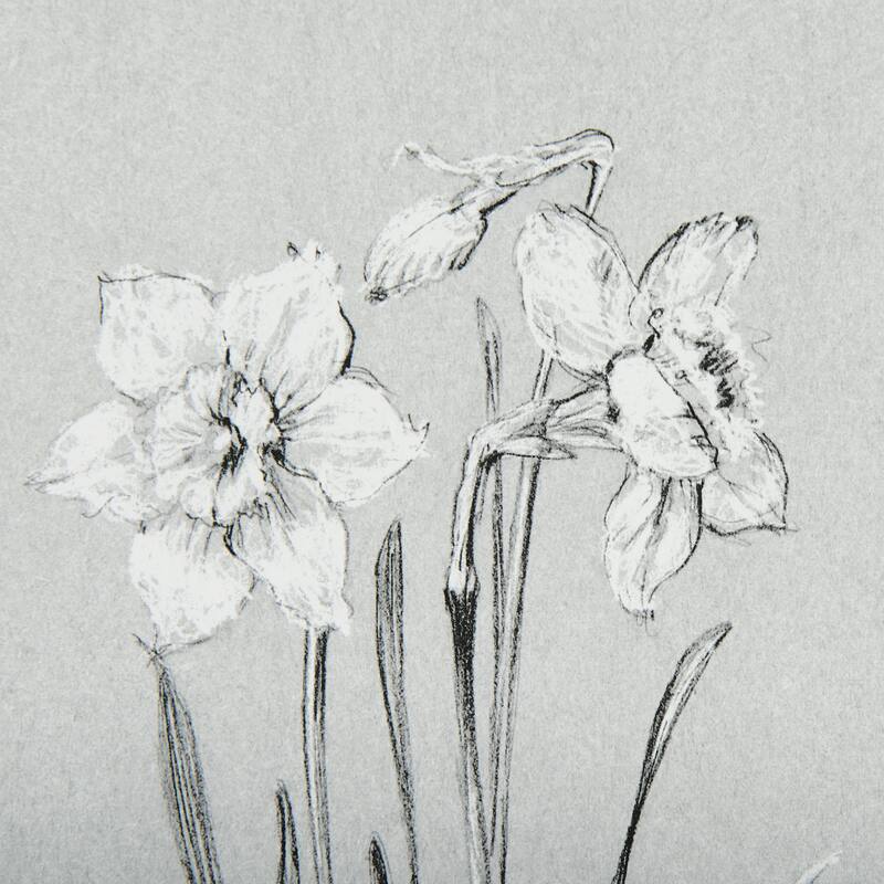 Botanical Sketches II (Grey) Framed Art Print