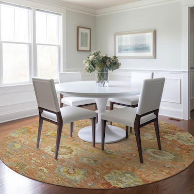 Machine Washable Indoor/ Outdoor Vintage Traditional Chantille Rug