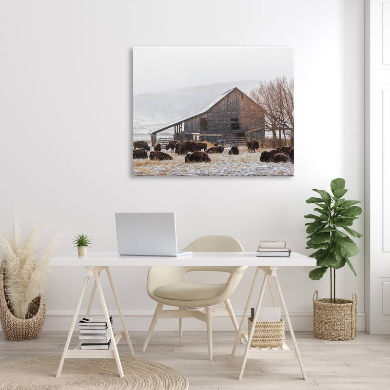 Stupell Snow Dusted Barn Buffalo Bison Rural Farm Canvas Wall Art, Design by Jeff Poe Photography