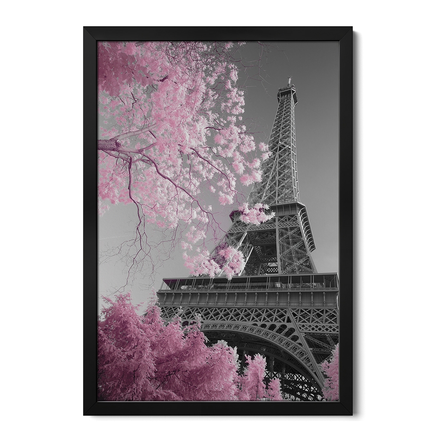 Paris Eiffel Tower XIII Premium Framed Poster by David Clapp