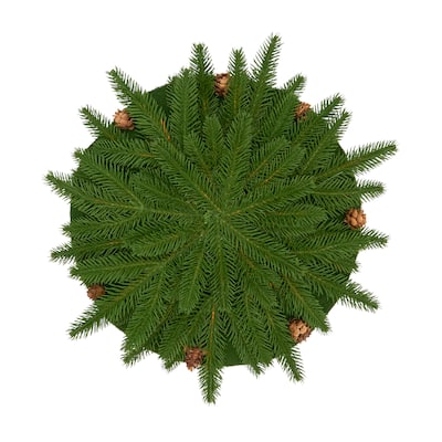 Evergreen Pinecone Placemat (Set of 4)