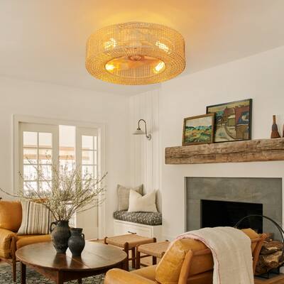 19.6 in. 4-Light Rattan Wood Caged Enclosed Ceiling Fan light