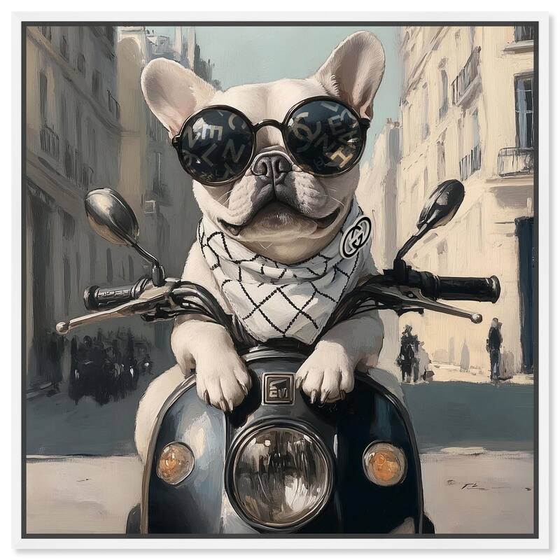 Frenchie on a Scooter Drive Canvas by Art Remedy - White - 20" x 20"