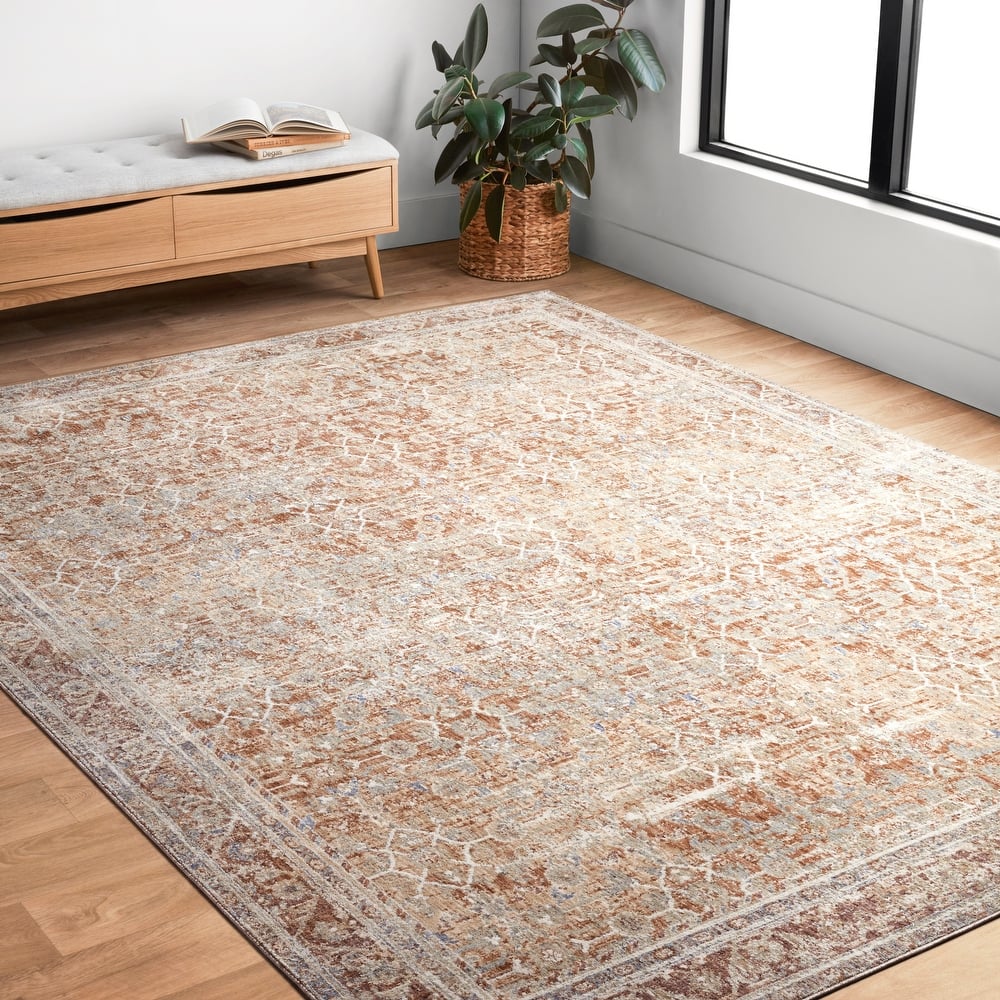 Alexander Home Austen Antique Washed Inspired Area Rug