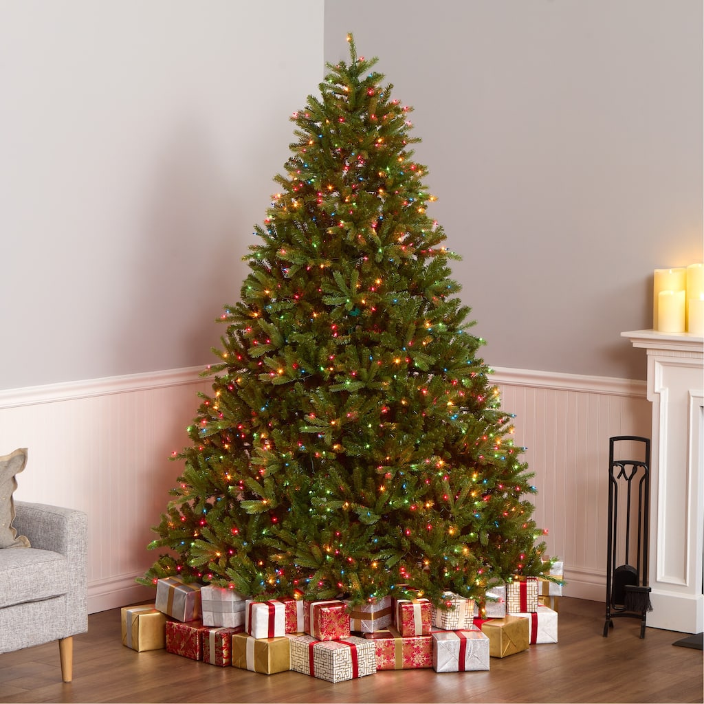 National Tree Company 7.5 ft. Jersey Fraser Fir Tree - 7.5 Foot