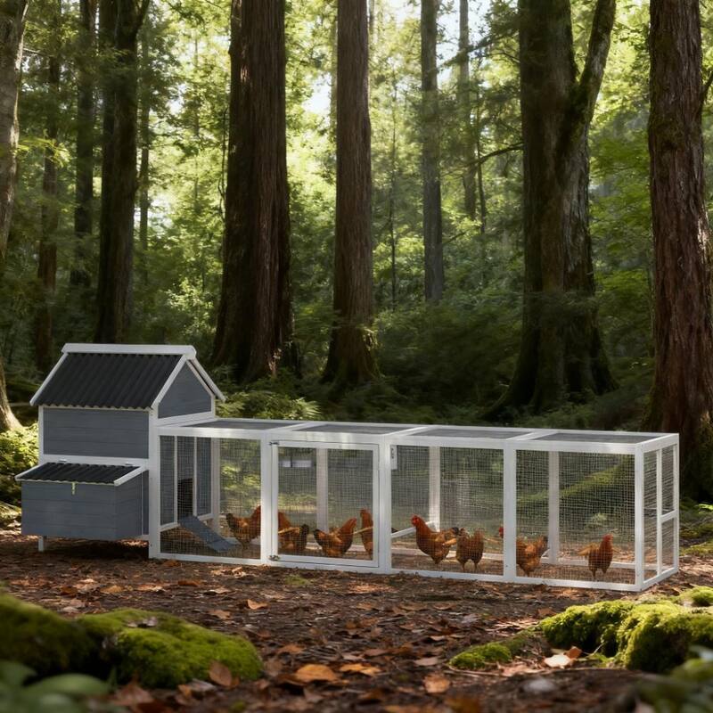 Extra Large Wooden Chicken Coop for 10-15 Chickens