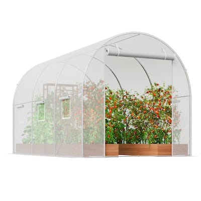White PE Tunnel Greenhouse with Galvanized Frame & 6 Windows - 9.58x6.43