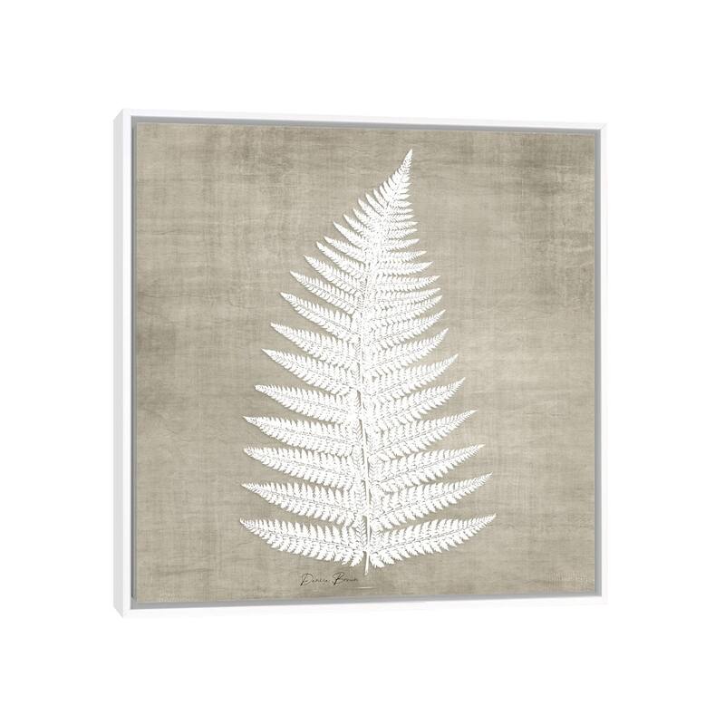 iCanvas "Natures Fern I" by Denise Brown Framed - 18x18 - White