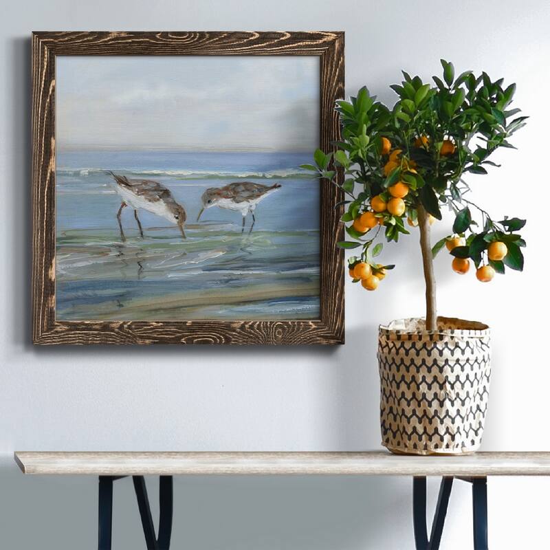 Seabird Beach II-Premium Framed Canvas - Ready to Hang
