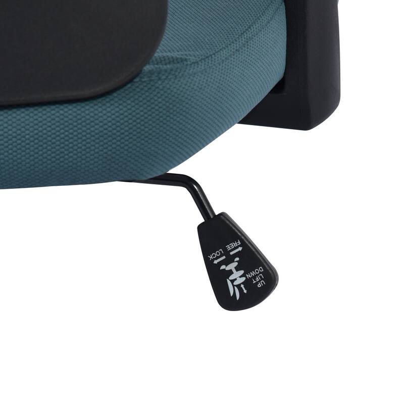 HomyLin Adjustable Home Office Chair Swivel Task Chair with Armrest and Lumbar Support