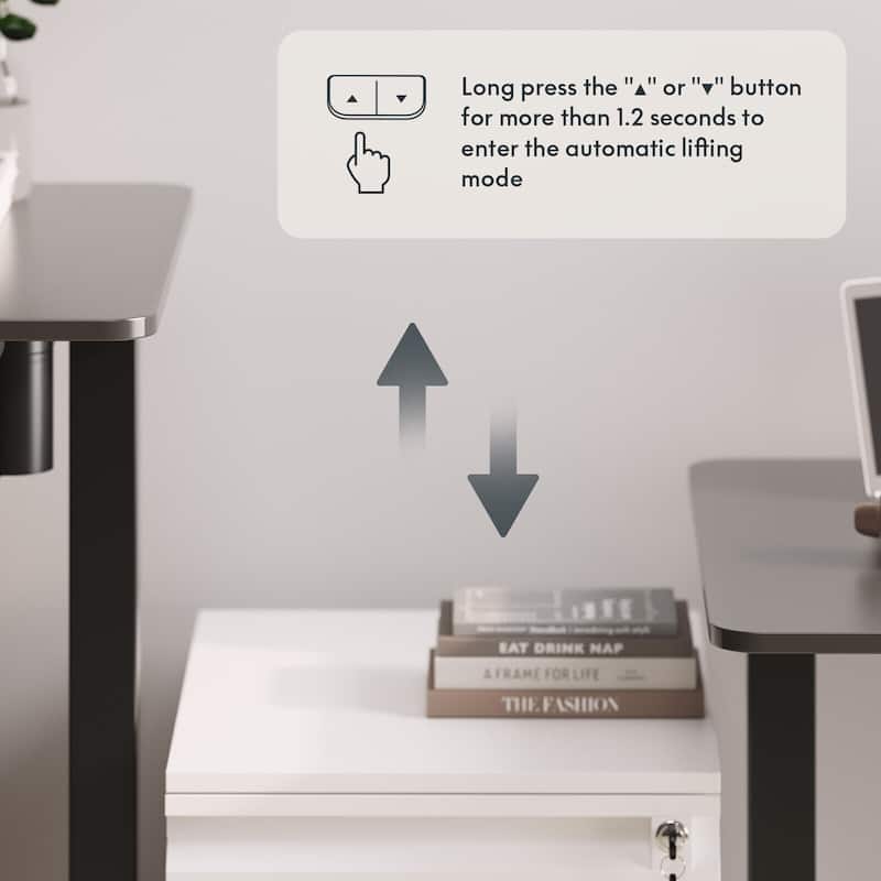 FlexiSpot Electric Standing Desk Whole-Piece Desk Board Computer Desk Height Adjustable Desk for Home Office