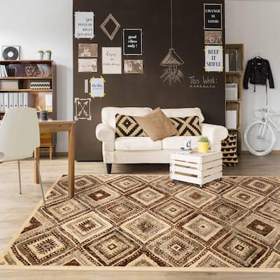 Superior Farmhouse Southwestern Power-Loomed Indoor Area Rug