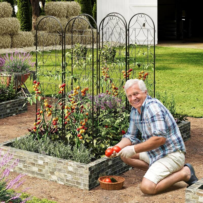 2-Pack Metal Garden Trellis for Climbing Plants Rust-Proof Panels with Scroll Design for Vines Roses and Tomatoes Black