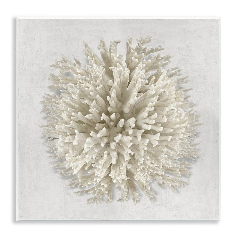 Stupell Natural Round Coral Wall Plaque Art Design By Caroline Kelly - 12 x 12