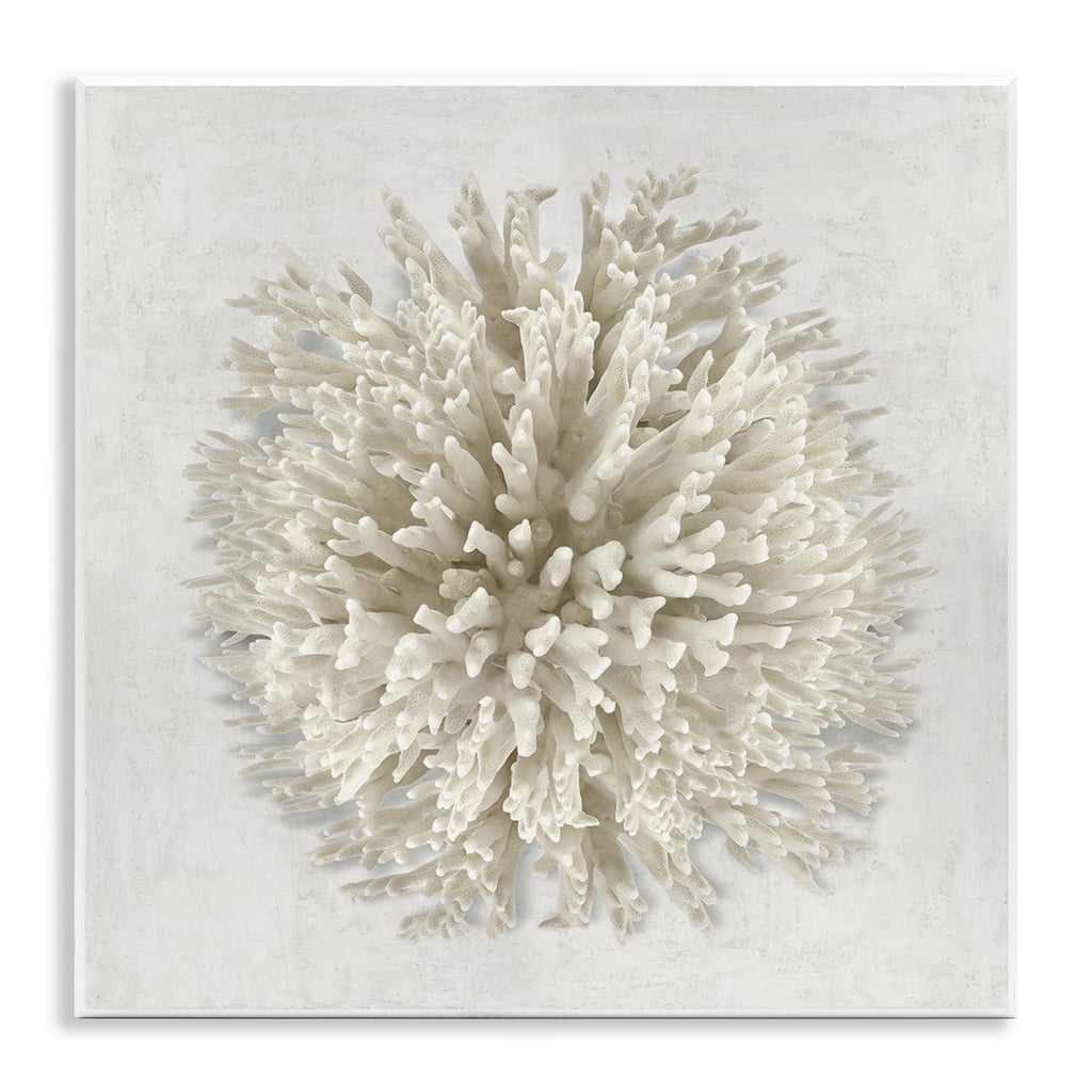 Stupell Natural Round Coral Wall Plaque Art Design By Caroline Kelly