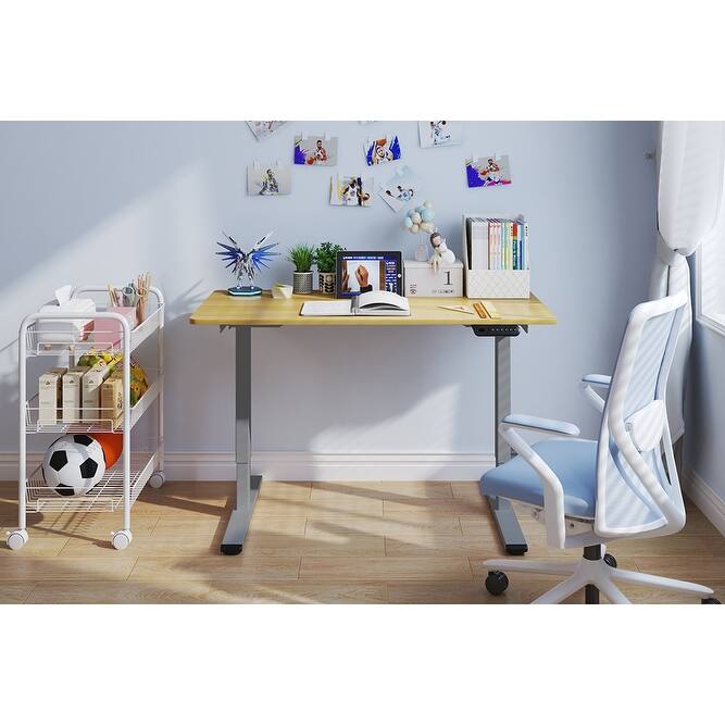 Electric Standing Desk, Dual Motor Adjustable 48x24 Home Workstation - Natural+Grey