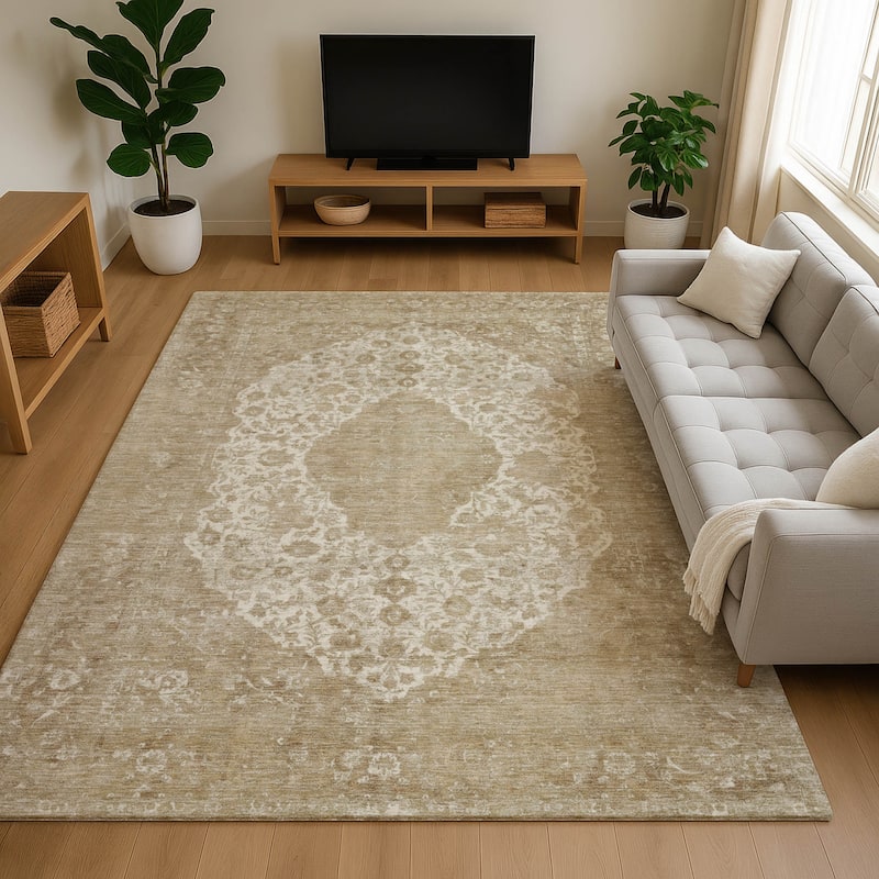 Premium Washable Super Soft Vintage Traditional Mayfield Rug - Ivory - 9' x 12'