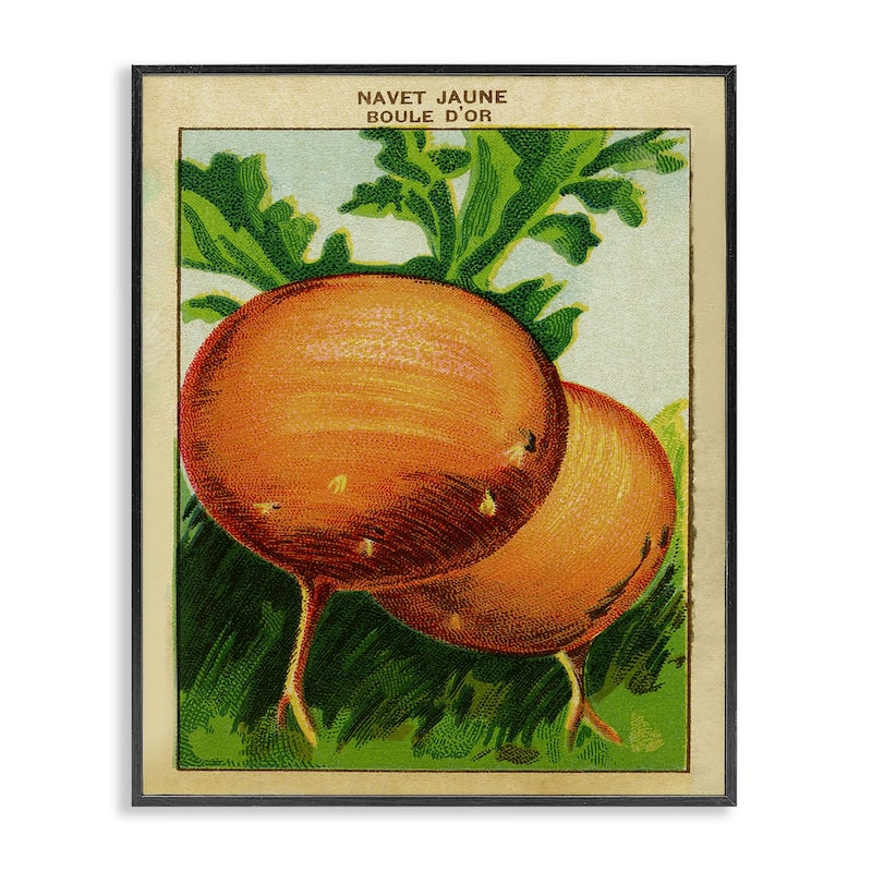 Stupell Country Vintage Onions Framed Giclee Art Design By Lil' Rue - 16 x 20 - Black