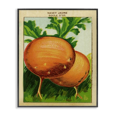 Stupell Country Vintage Onions Framed Giclee Art Design By Lil' Rue