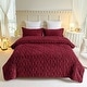 preview thumbnail 27 of 49, 3-Piece Fluffy Sherpa Comforter Set Tufted Bedding Comforter Set Fushia Red - King