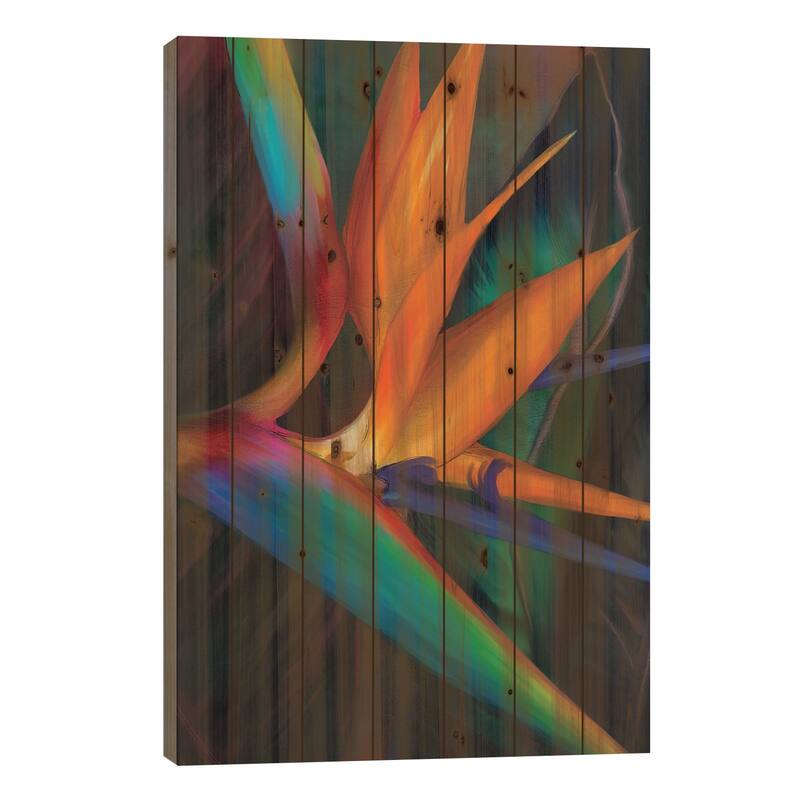 Birds of Paradise Print On Wood by Juliana Loomer - Multi-Color - 26x18x1.5