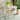 SAFAVIEH Outdoor Living Sidford Grey/White Rattan Bistro Table - 31.5" W x 31.5" D x 30" H