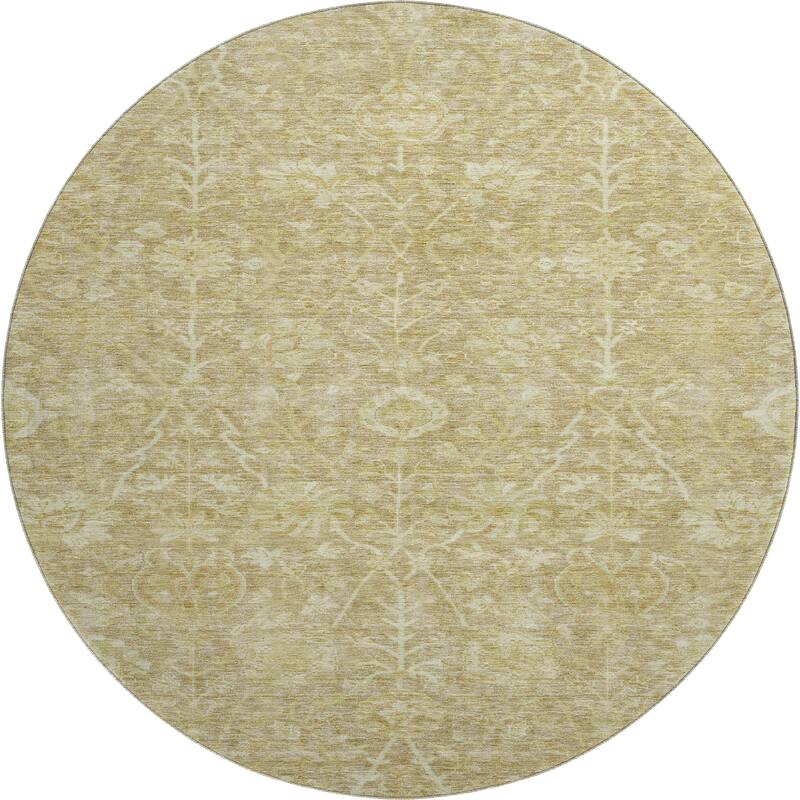 Premium Washable Super Soft Vintage Traditional Mayfield Rug