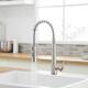 Option Brushed Nickel