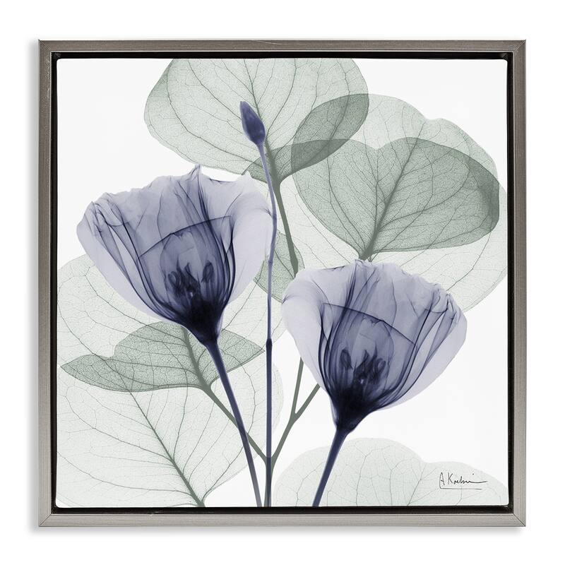 Stupell Contemporary Eucalyptus & Herbs Framed Floater Canvas Wall Art Design By Albert Koetsier - 25 x 25 - Grey
