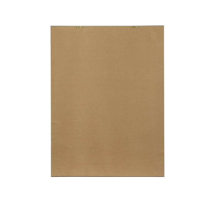 CosmoLiving by Cosmopolitan Green Canvas Monstera Leaf Living Room Framed Wall Art with Gold Frame