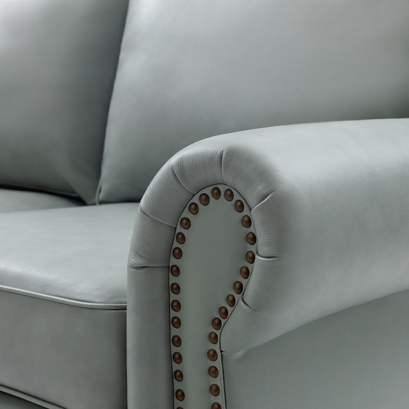 Filomena Transitional 5 Piece Genuine Leather Living Room Set Sofa with Rolled Arms by HULALA HOME