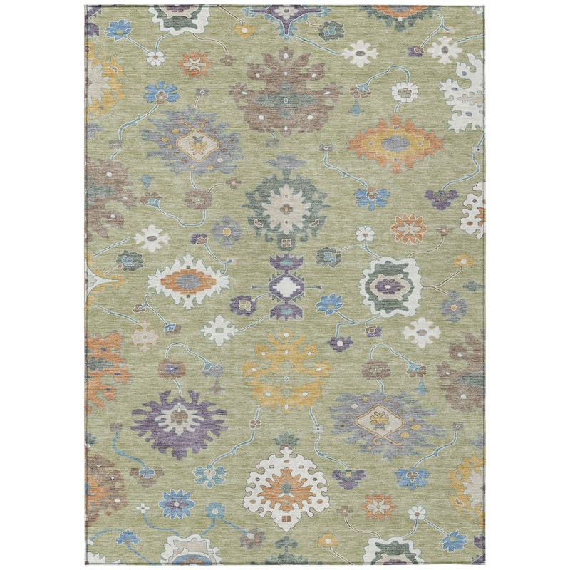 Machine Washable Indoor/ Outdoor Traditonal Delhi Chantille Rug
