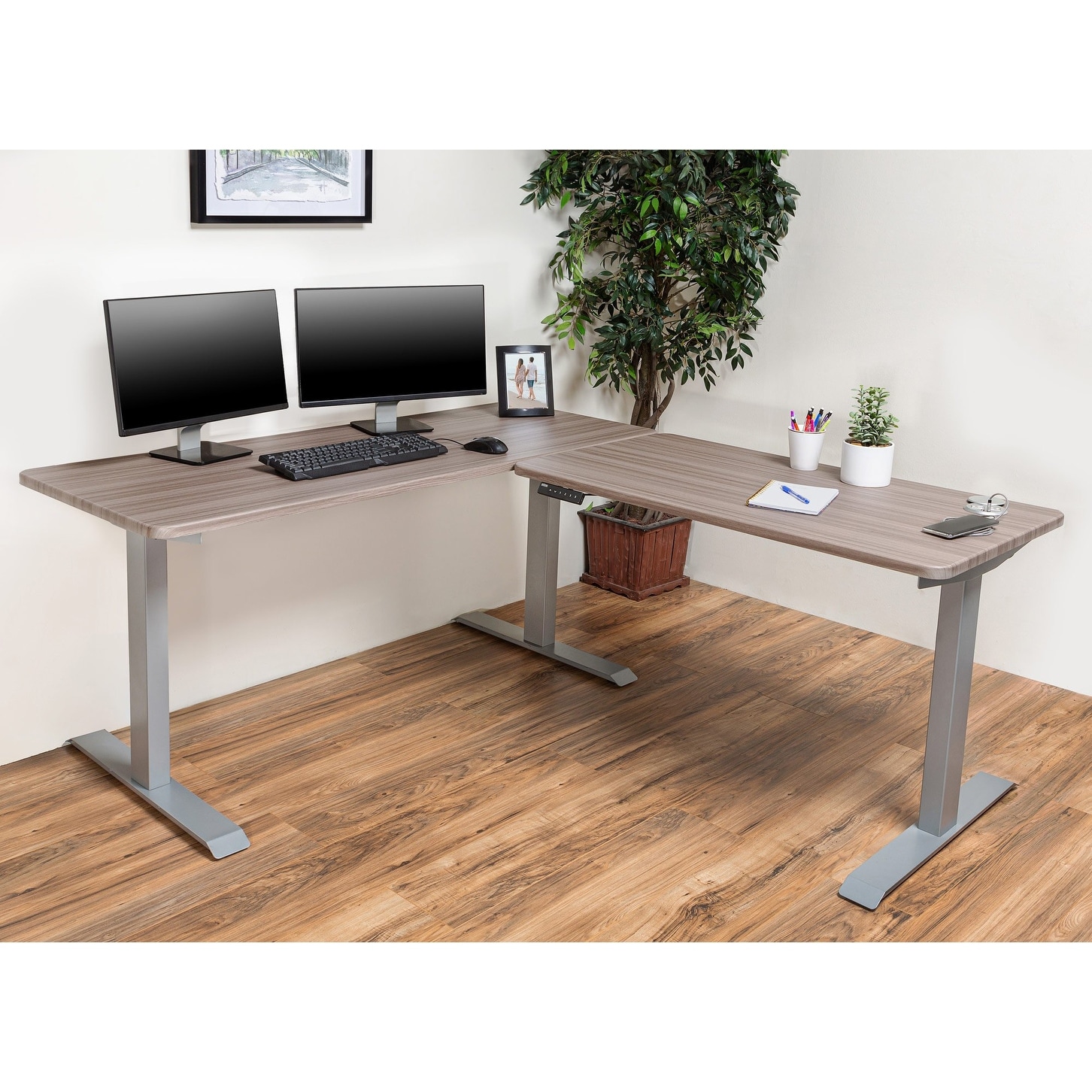 Brodan electric best sale standing desk