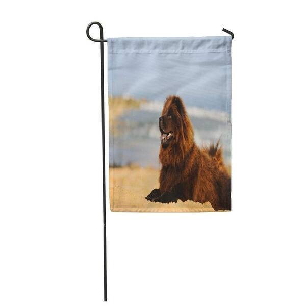 Shop Brown Chow Dog Portrait Lying Down On Sand Beach Black Garden Flag Decorative Flag House Banner 12x18 Inch Overstock 31366613