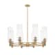 Option Clear / Brushed Brass