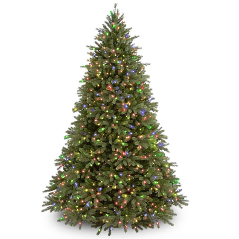National Tree Company 6.5 ft. Jersey Fraser Fir Tree with Clear Lights