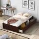 Option Brown Cherry