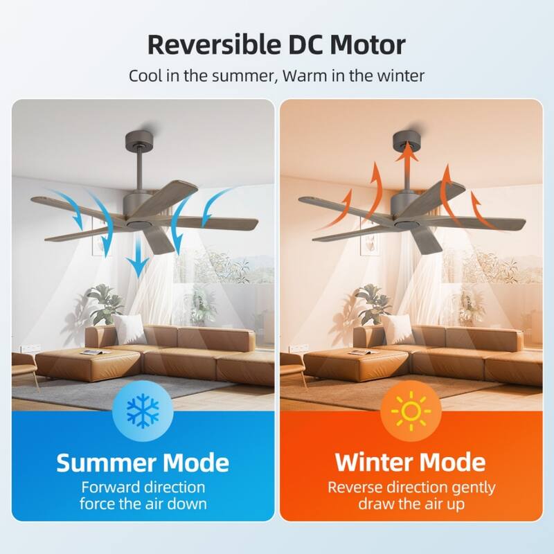 MLiAN 48in 5-Blade Indoor Ceiling Fan with Remote